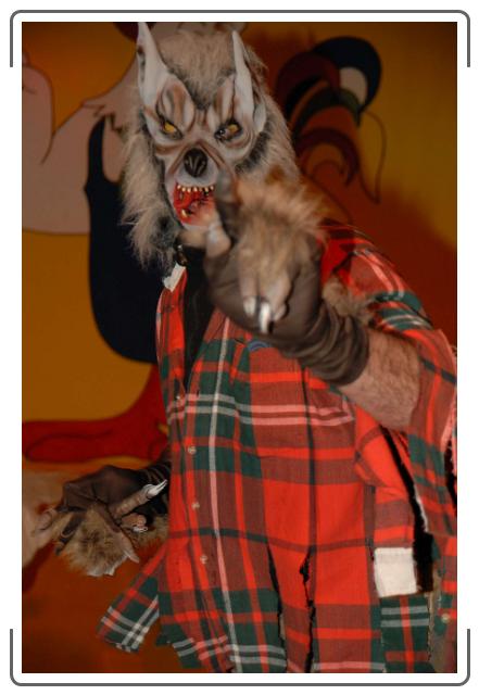 N&auml;chstes Bild