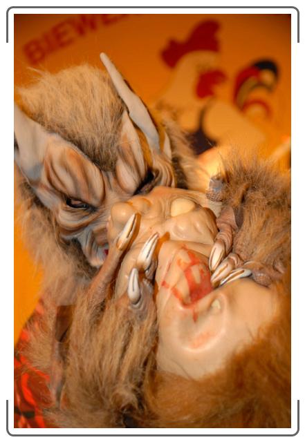 N&auml;chstes Bild