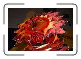MTR_1917 * 3872 x 2592 * (625KB)