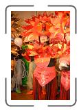 MTR_2064 * 2592 x 3872 * (644KB)